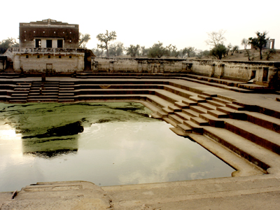 Camel Cart Rides In Surajgarh